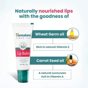 Himalaya Lip Balm 10 gm | Wheat Germ Oil & Carrot Seed Oil