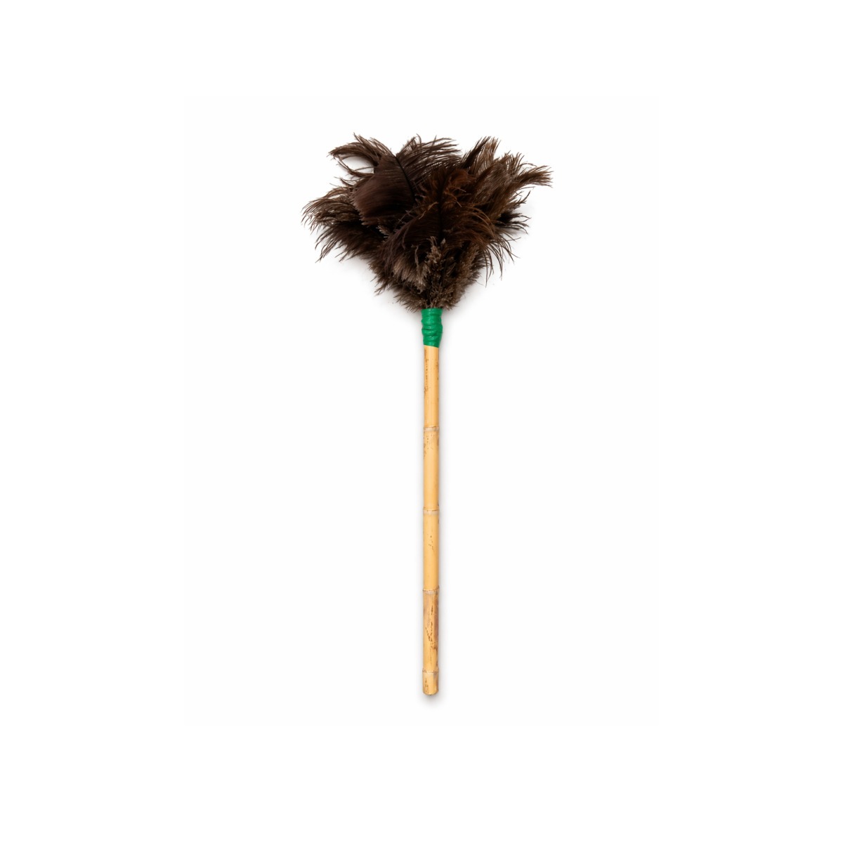 Feather Duster