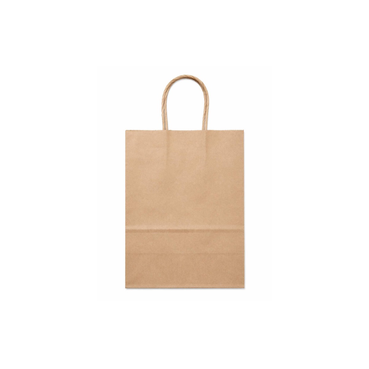 Paper Gift Bag - 01 Unit