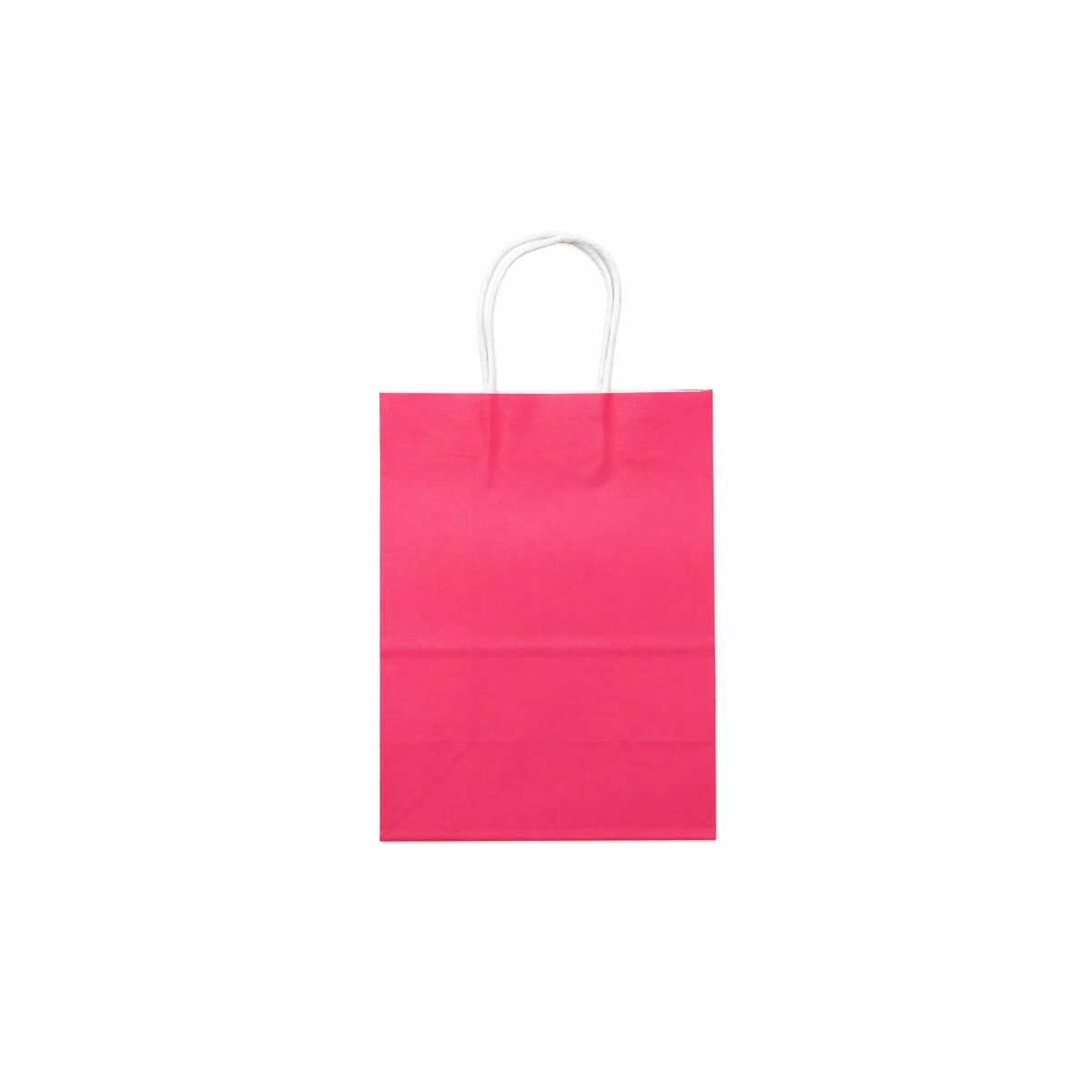 Paper Gift Bag - 01 Unit
