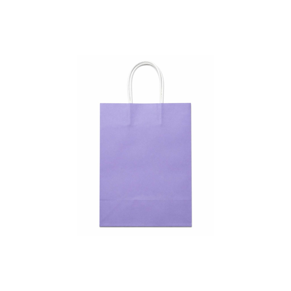 Paper Gift Bag - 01 Unit