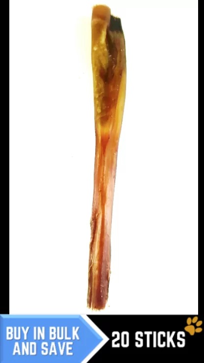 Wissel Sticks Singles (20cm): Bulk Pack