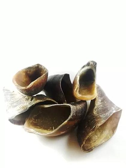 K9 Hooves: 10’s product image