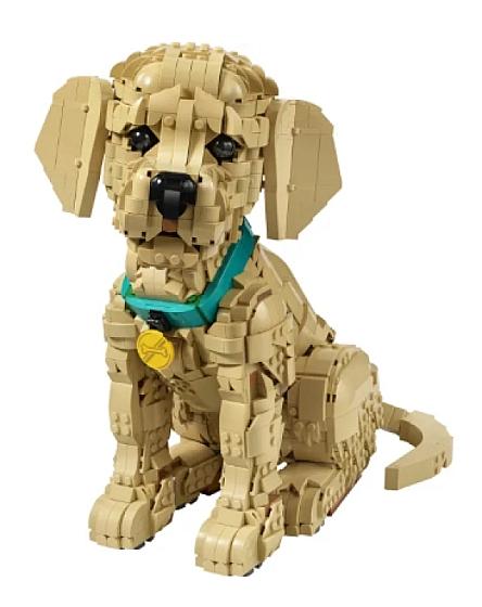 LEGO® Icons Golden Retriever Puppy - Animal Figure 11384 product image